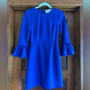 Blue Ruffle Sleeve Dress